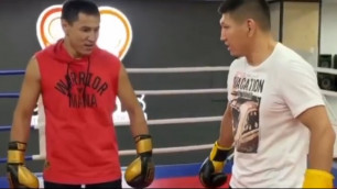 Казахстанские звезды ММА и бокса устроили битву в ринге