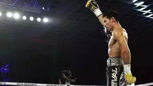 WBC удалил Алимханулы из рейтинга перед чемпионским боем