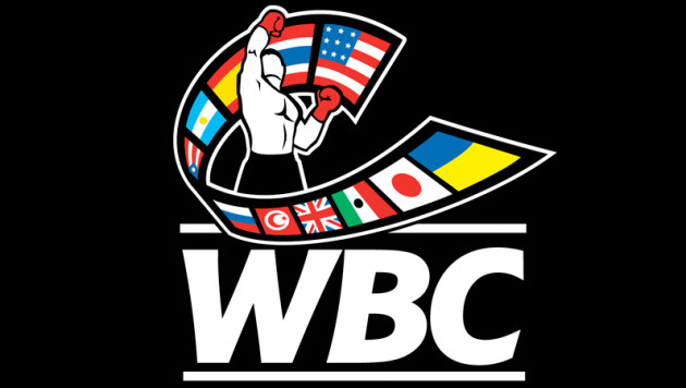 WBC отреагировал на участие трансгендеров в боксерских поединках