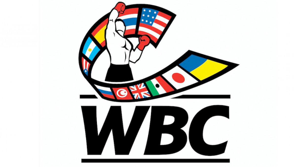 WBC решил судьбу боксеров-трансгендеров