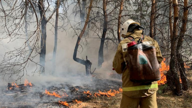Пожары в Костанайской области: Журналисты Vesti.kz передадут помощь пострадавшим