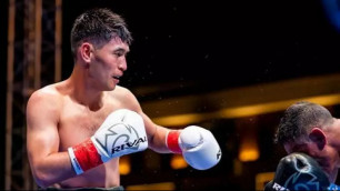 Казахстанский боксер с титулом от WBA обратился к болельщикам перед боем в Узбекистане