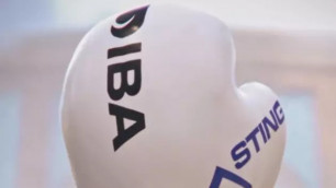 IBA объявила о запуске Лиги чемпионов по боксу