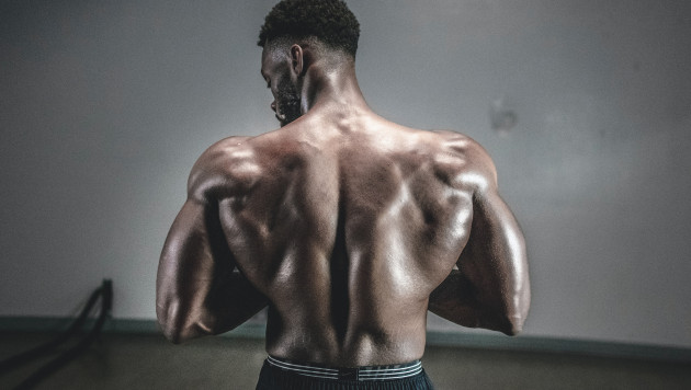 Почему важно прокачивать мышцы спины?