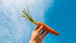 Морковь: польза для организма. Что будет, если есть морковь каждый день?