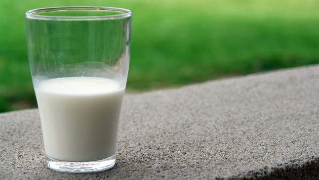 Что будет, если пить молоко каждый день? Польза и вред | Спортивный портал  Vesti.kz
