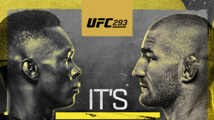 Прямая трансляция турнира UFC 293 с главным боем Адесанья - Стриклэнд