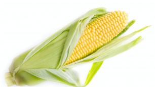 Кукуруза: польза и вред для здоровья. Что будет, если часто ее есть