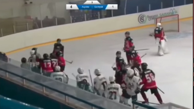 Массовое побоище устроили 15-летние хоккеисты: видео