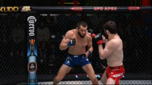 На UFC Fight Night 235 с участием казахстанца остановили бой на 11-й секунде