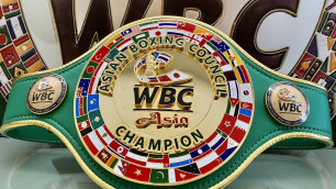 WBC придумал революцию в боксе: подробности