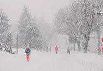 ©️ Tengrinews.kz / Алихан Сариев