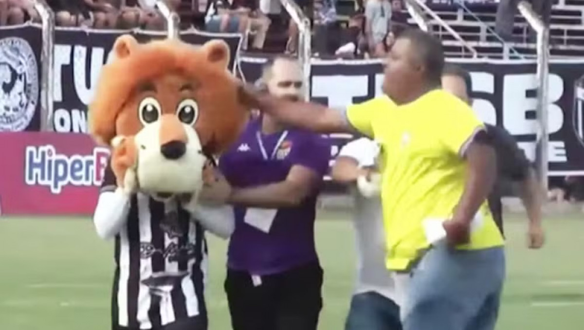 Президент футбольного клуба подрался со "львом" прямо на поле: скандальное видео