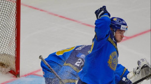 ©instagram.com/hidden_raccoon/