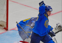 ©instagram.com/hidden_raccoon/