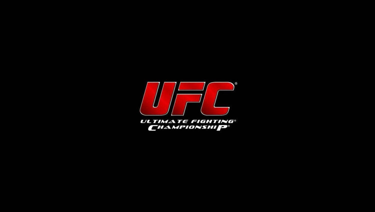 Объявлен бой казахстанца на турнире UFC после нокаута