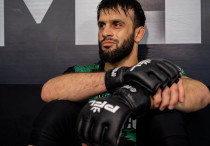 ©IG/gorillafighting