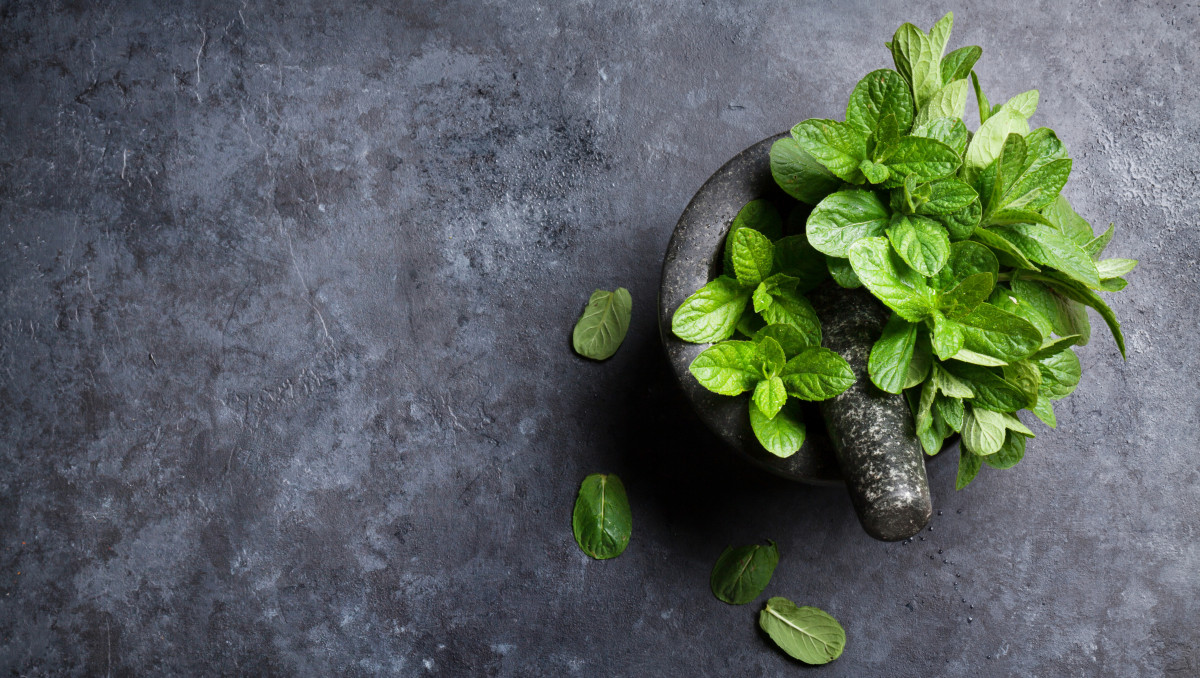 Это растение улучшает пищеварение и работу мозга