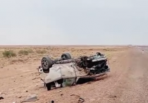 ©Кадр из видео