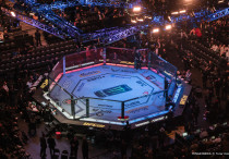 Октагон UFC. Фото: Vesti.kz, Турар Казангапов©