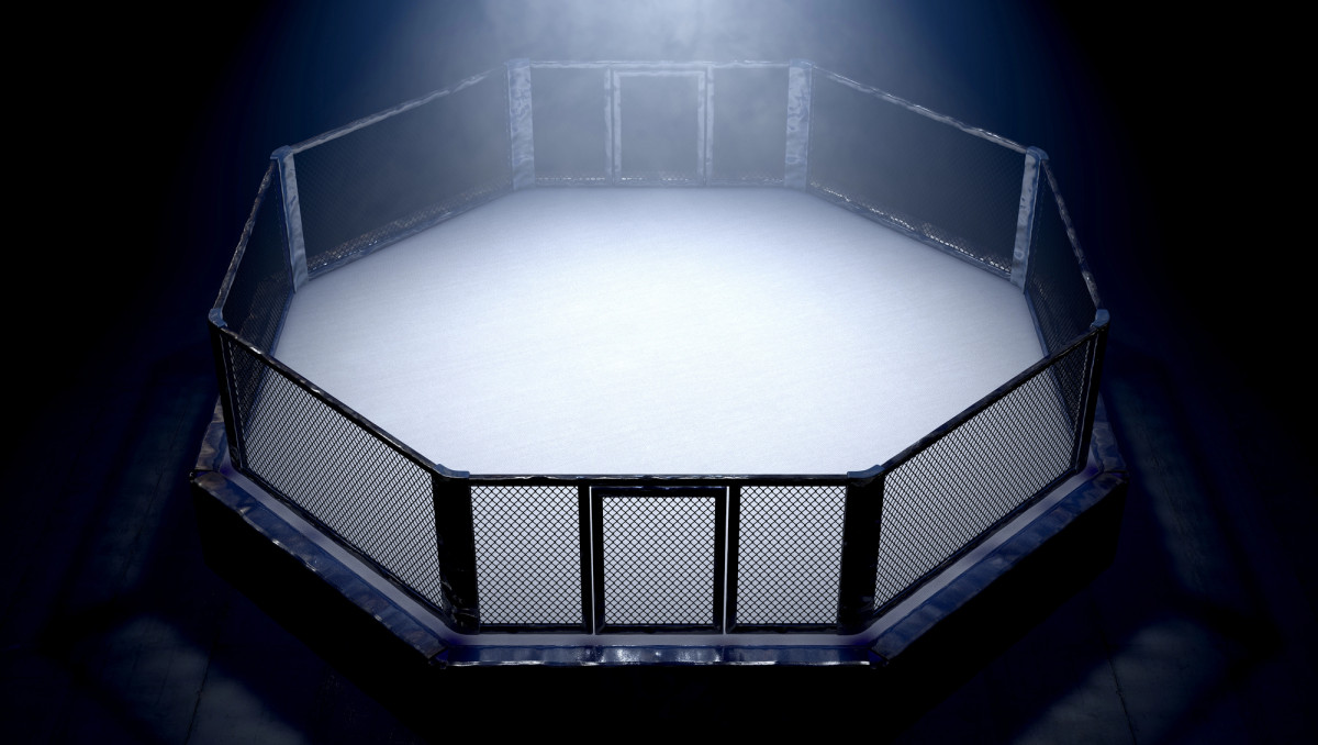 Нокаутом обернулся бой Казахстан - Узбекистан в MMA