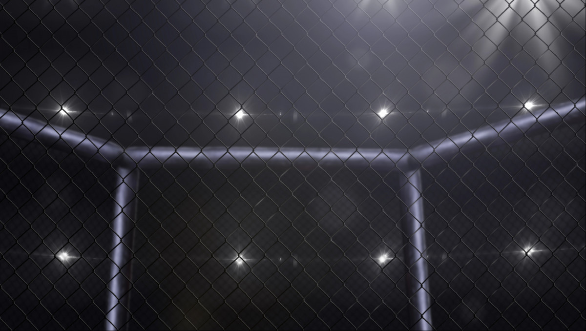 Казахский боец побил соперника из Узбекистана на турнире в Ташкенте