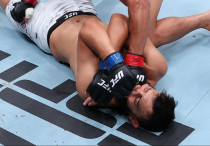 Ульберг против Рейеса. Фото: IG/UFC©