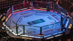 Октагон UFC. Фото: Vesti.kz, Турар Казангапов©