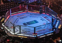 Октагон UFC. Фото: Vesti.kz, Турар Казангапов©