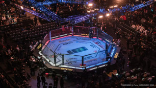 Октагон UFC. ©Vesti.kz, Турар Казангапов