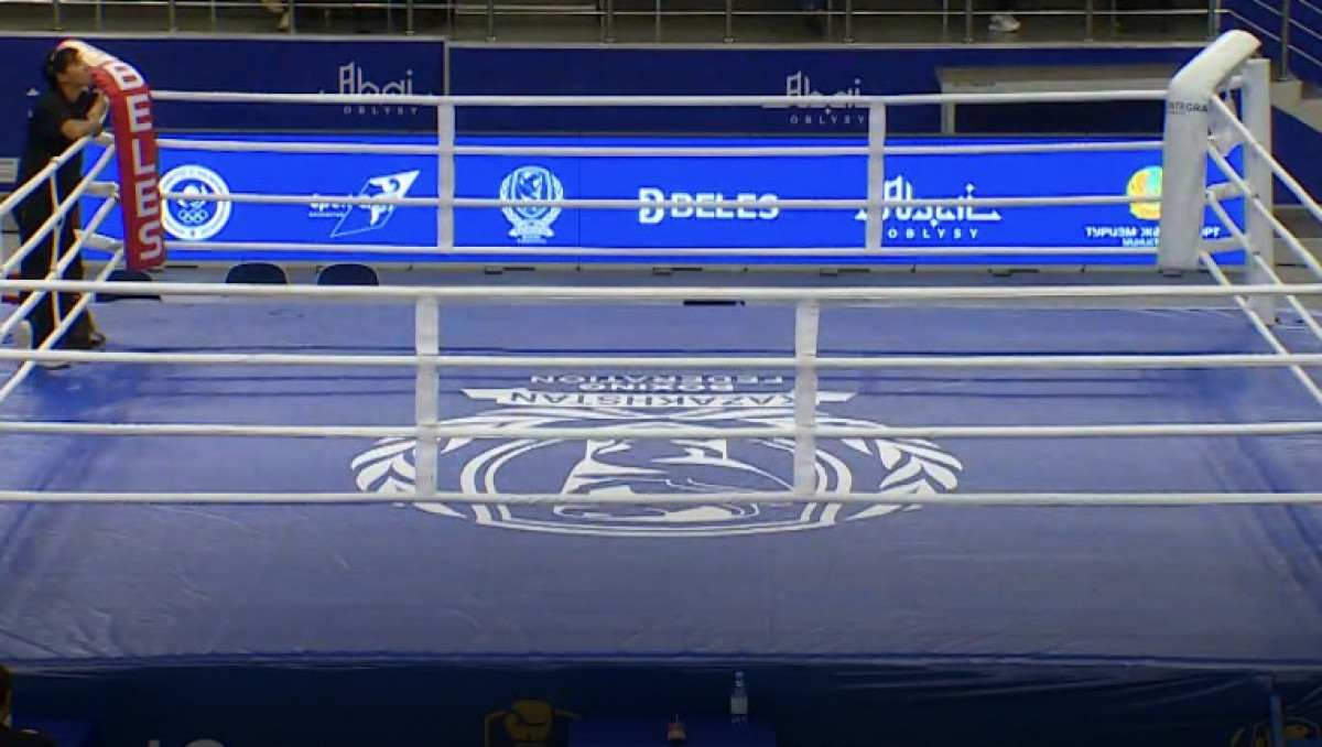 Бой казахстанского профи остановили в первом раунде