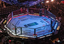 Октагон UFC. Фото: Vesti.kz, Турар Казангапов©