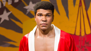 Мухаммед Али. ©Depositphotos/teddybearpicnic