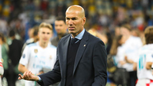 Зинедин Зидан. ©Depositphotos/lireshetnik09