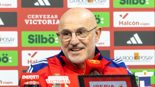 Луис де ла Фуэнте. Фото: ©depositphotos/Musiu0