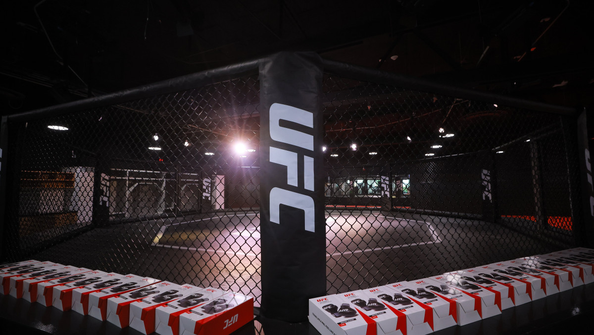 В Казахстане дали зелёный свет турниру UFC: уже составлен бюджет и выбрана арена