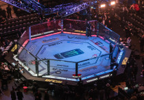 Октагон UFC. Фото: Vesti.kz, Турар Казангапов©