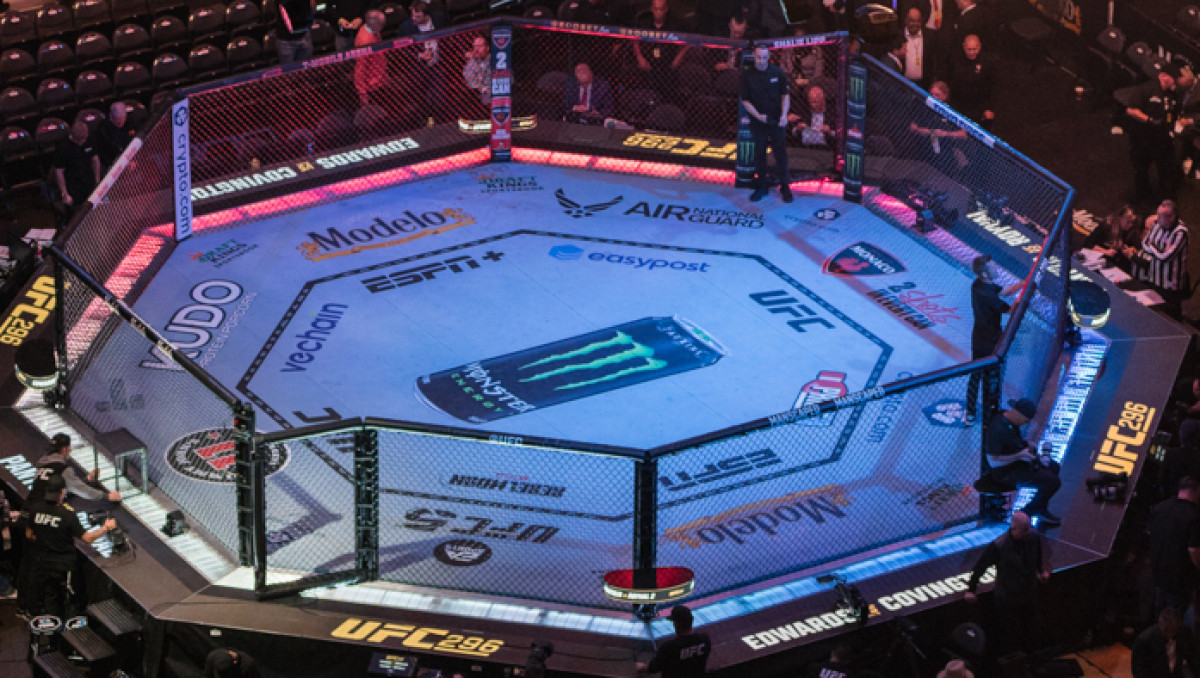 UFC заплатили 50 миллионов новому конкуренту Рахмонова