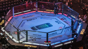Октагон UFC. Фото: Vesti.kz/Турар Казангапов©
