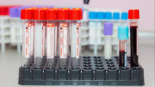 ©Depositphotos.com/luckyuran