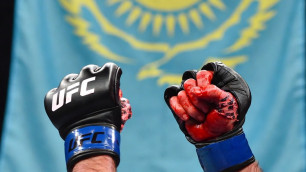 Перчатки казахстанского бойца UFC. Фото сгенерировано нейросетью Grok©