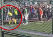 ©кадр из видео