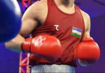 ©instagram.com/boxinguzbekistan_official/