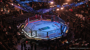 Октагон UFC. Фото: Vesti.kz/Турар Казангапов©