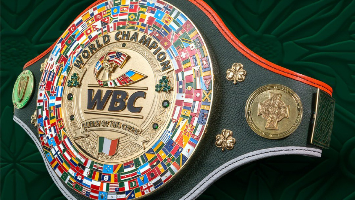 Нурсултанов узнал решение WBC по бою за титул чемпиона мира