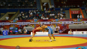 Фото с сайта Федерации борьбы.