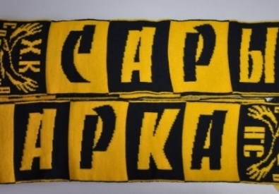 Фото с официального сайта ХК "Сарыарка"