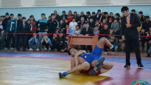 Фото с сайта Федерации борьбы Казахстана