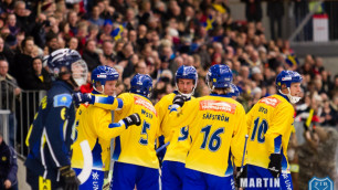 Сборная Казахстана потерпела поражение от хозяев на чемпионате мира в Швеции