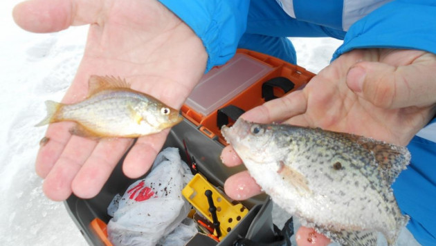 Казахстанцы приняли участие в ЧМ  по спортивному лову рыбы